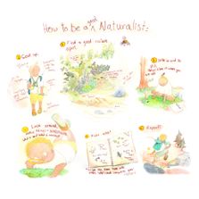How to be a Naturalist